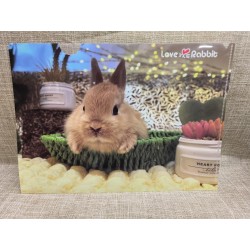 Love Rabbit 兔兔 File