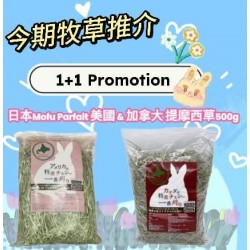 (1+1 Promotion) Mofu Parfait Canadian Timothy Hay 1st Cut Double Press 500g + Mofu Parfait American Timothy 1st Cut Single Press 500g