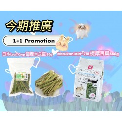 (1+1 Promotion) Leaf Corp. Natural Papaya Bar 60g + Marukan MRP-718 Timothy Hay for Rabbit PRO 550g