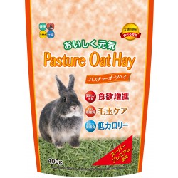 Hipet Pasture 牧場澳洲燕麥草 400g