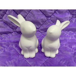 義賣- 兔兔陶瓷擺設 (一對)