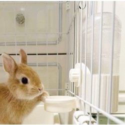 義賣 - 全新小動物大容量飲水兜 700ML (白色)